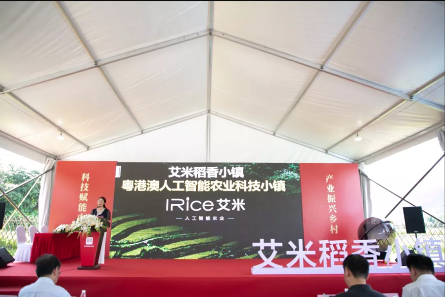 廣州從化打造粵港澳人工智能農(nóng)業(yè)科技小鎮(zhèn)，艾米稻香小鎮(zhèn)建設(shè)“農(nóng)智谷”(圖1)