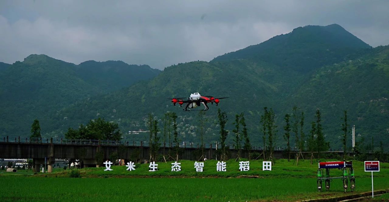 日本靜岡政府組織專家團(tuán)調(diào)研艾米，稱贊艾米生態(tài)農(nóng)業(yè)達(dá)到世界領(lǐng)先水平(圖10)
