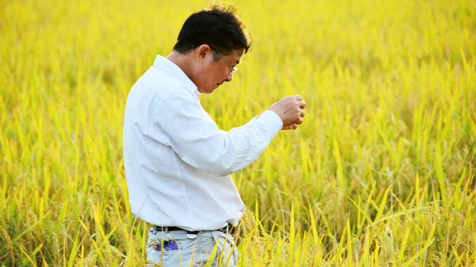 1-黃慶教授.jpg
