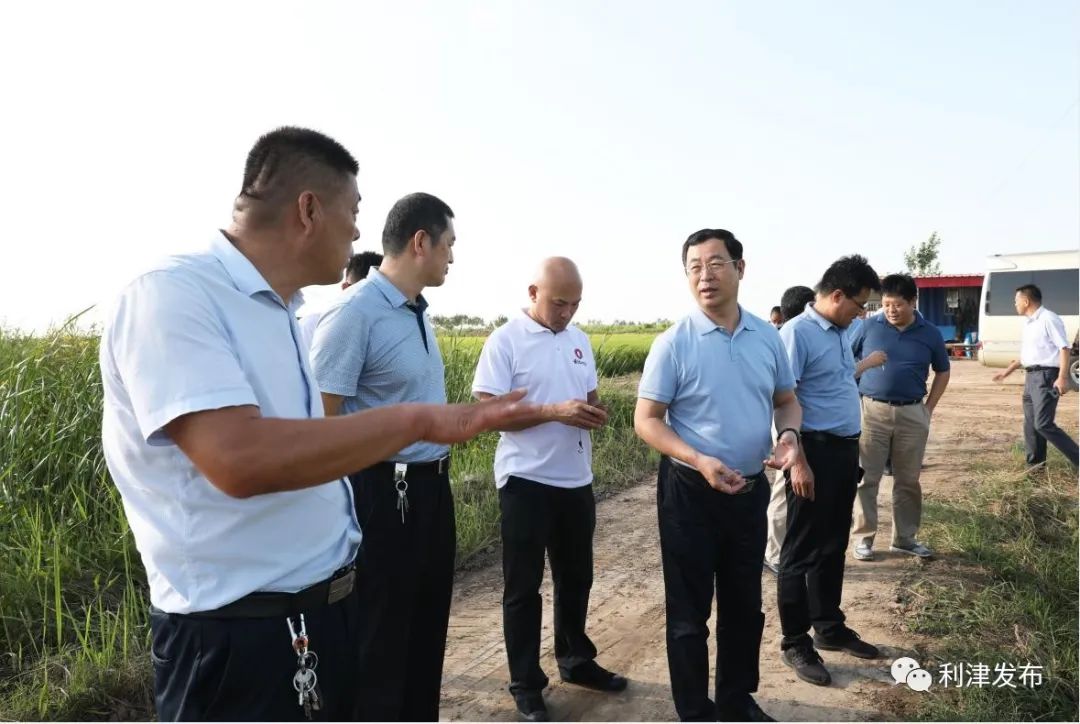 山東省農(nóng)業(yè)農(nóng)村廳一級巡視員王登啟到黃河口大米產(chǎn)業(yè)研究院實(shí)地調(diào)研(圖3)